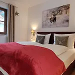 Hochalmbahnen 16w1, Alpenaster, Nahe Gondel Раурис