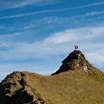 Hochalmbahnen 16w1, Alpenaster, Nahe Gondel *