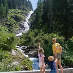 Hochalmbahnen 16w1, Alpenaster, Nahe Gondel Раурис