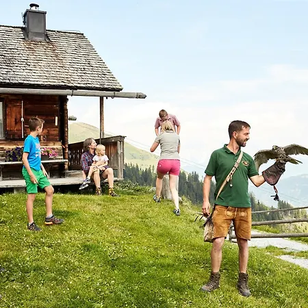 Hochalmbahnen 16w1, Alpenaster, Nahe Gondel Rauris