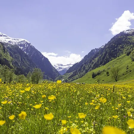 Lägenhet Hochalmbahnen 16w1, Alpenaster, Nahe Gondel