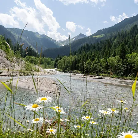 Hochalmbahnen 16w1, Alpenaster, Nahe Gondel * Rauris