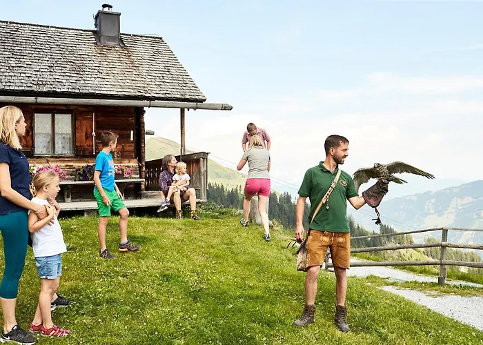 Hochalmbahnen 16w1, Alpenaster, Nahe Gondel Rauris