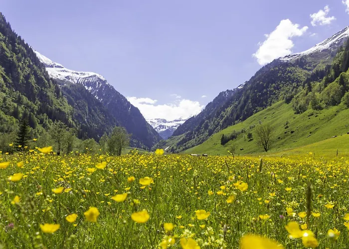 Lägenhet Hochalmbahnen 16w1, Alpenaster, Nahe Gondel