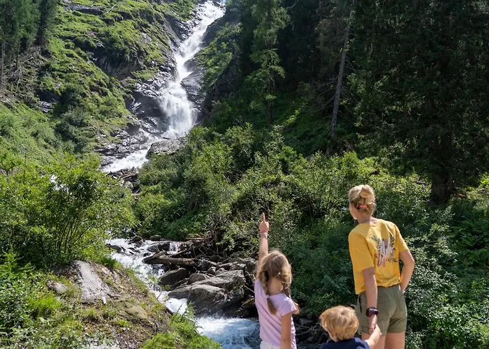 Hochalmbahnen 16w1, Alpenaster, Nahe Gondel Rauris